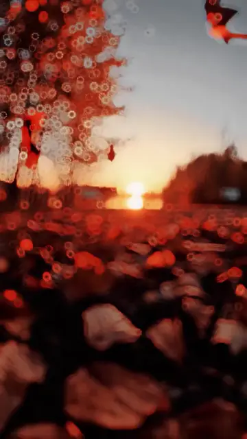 Превью шаблона «Slowmo filter»