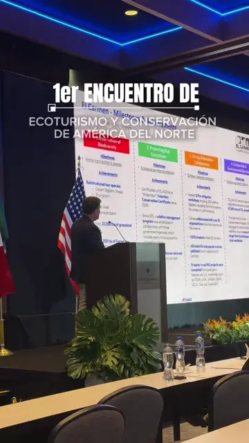 Превью шаблона «Event resume»