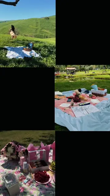 Превью шаблона «Picnic Moment»