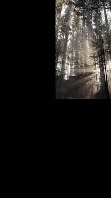 Превью шаблона «Nature vibes»
