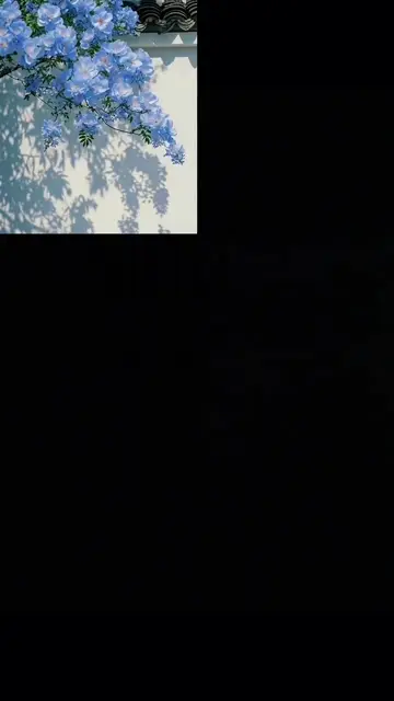 Превью шаблона «Moment»