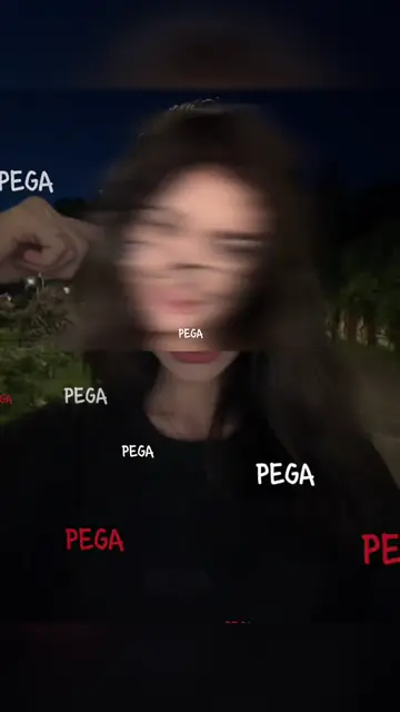 Превью шаблона «Pega pega»