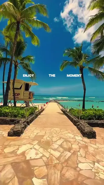 Превью шаблона «SUMMER VIBES»
