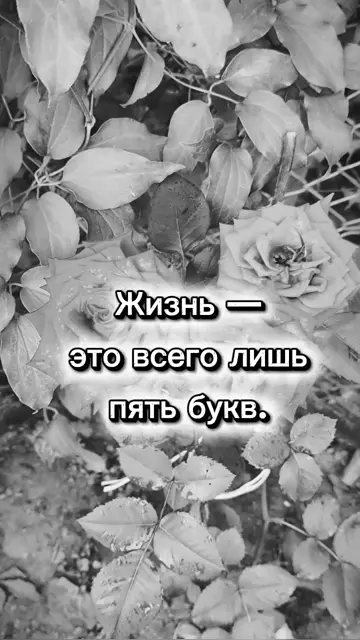 Превью шаблона «цените жизнь»
