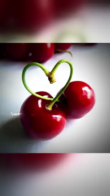 Превью шаблона «ᶻ 𝘇 𐰁.ᐟ»
